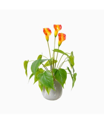 Potted Simulation Tree Plant Indoor Decoration Green Plant