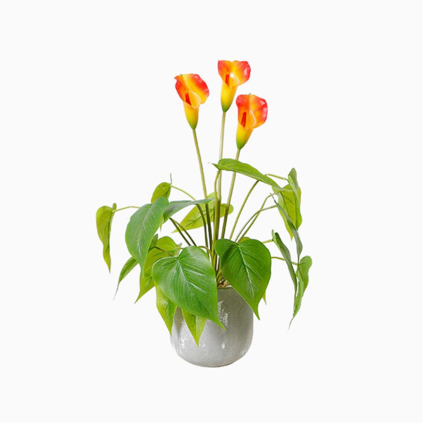 Potted Simulation Tree Plant Indoor Decoration Green Plant