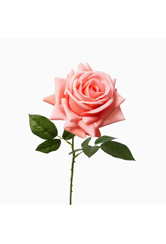Morandi Color True Touch Latex Rose Artificial Flower
