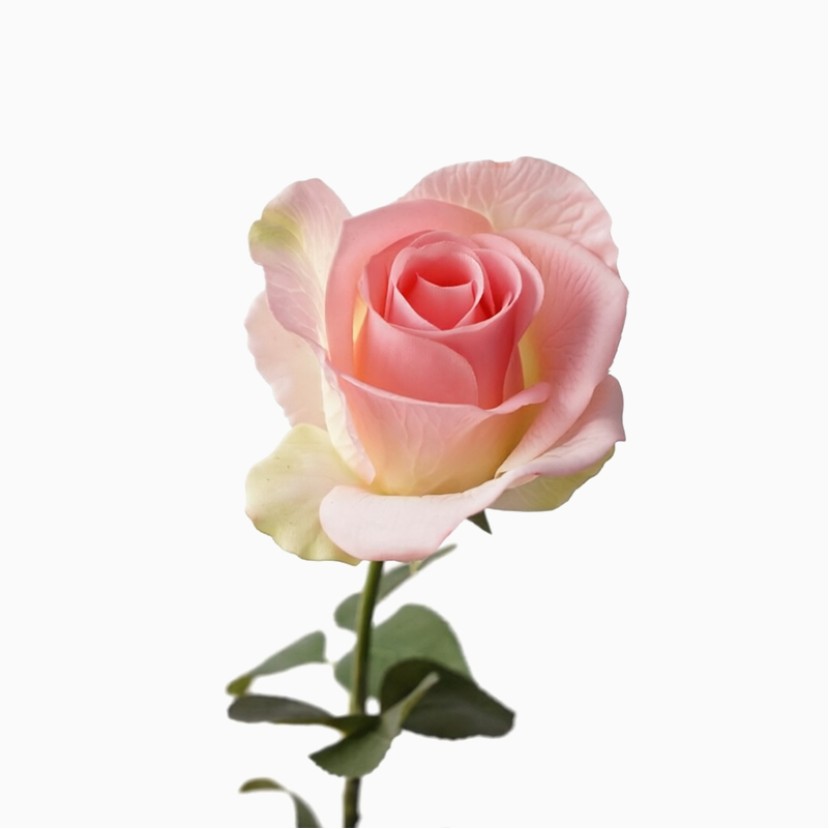 65cm Realistic Diana Rose Desktop Decoration