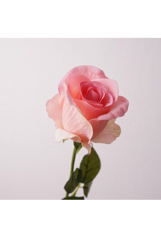 65cm Realistic Diana Rose Desktop Decoration