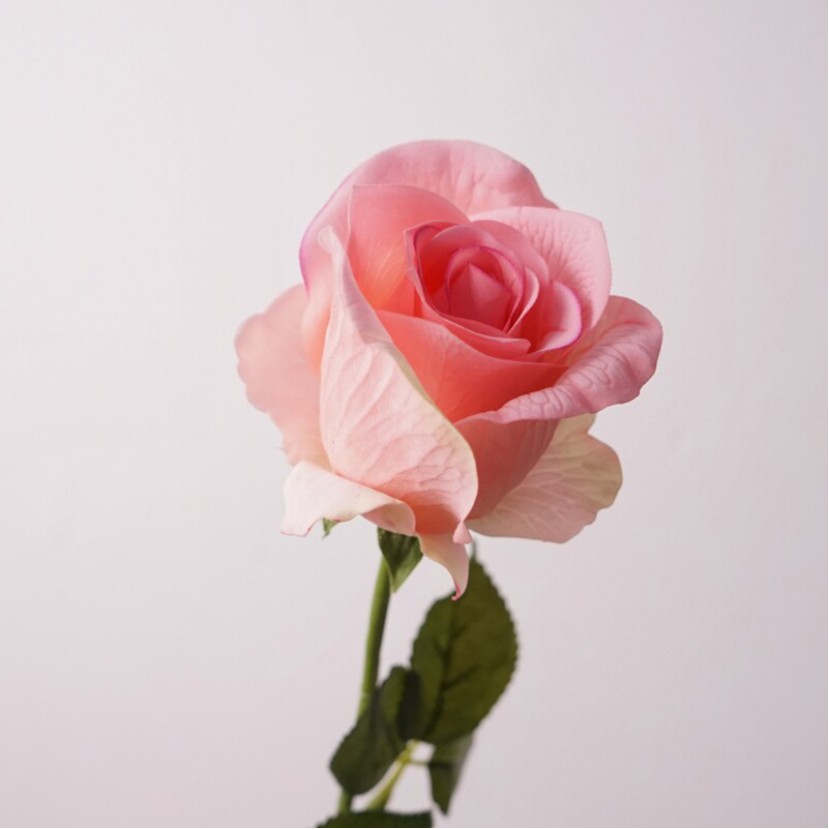 65cm Realistic Diana Rose Desktop Decoration