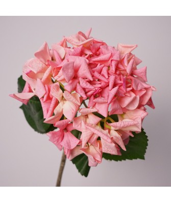 Real Touch Simulation Hydrangea Decoration