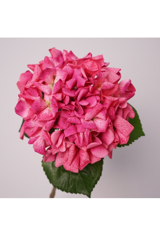 Real Touch Simulation Hydrangea Decoration