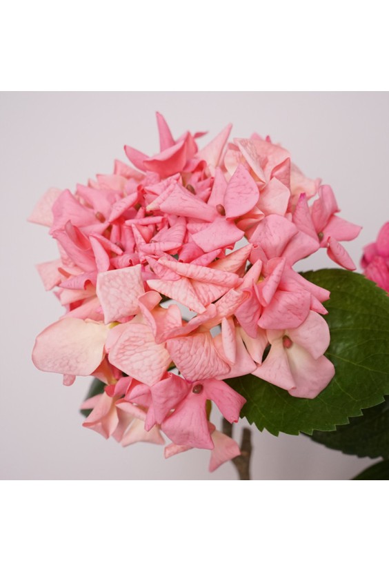 Real Touch Simulation Hydrangea Decoration