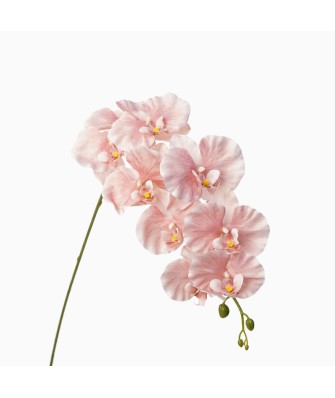 High-Quality Artificial Phalaenopsis Decorative Flower