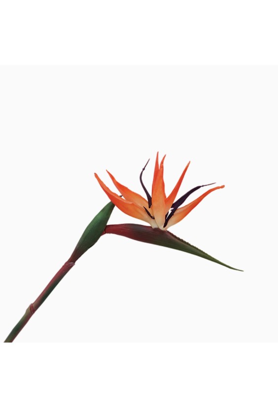 Artificial Bird of Paradise Tropical Flower Home Decor