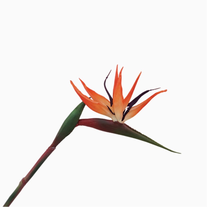 Artificial Bird of Paradise Tropical Flower Home Decor