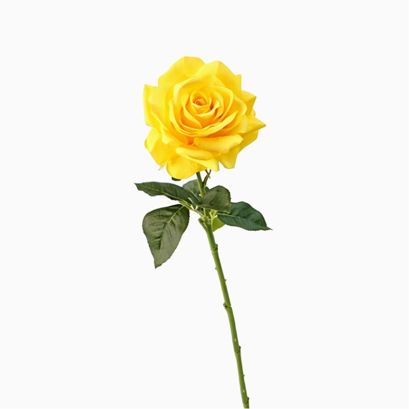 Large Decorative Flower with a Luxurious Soft Texture