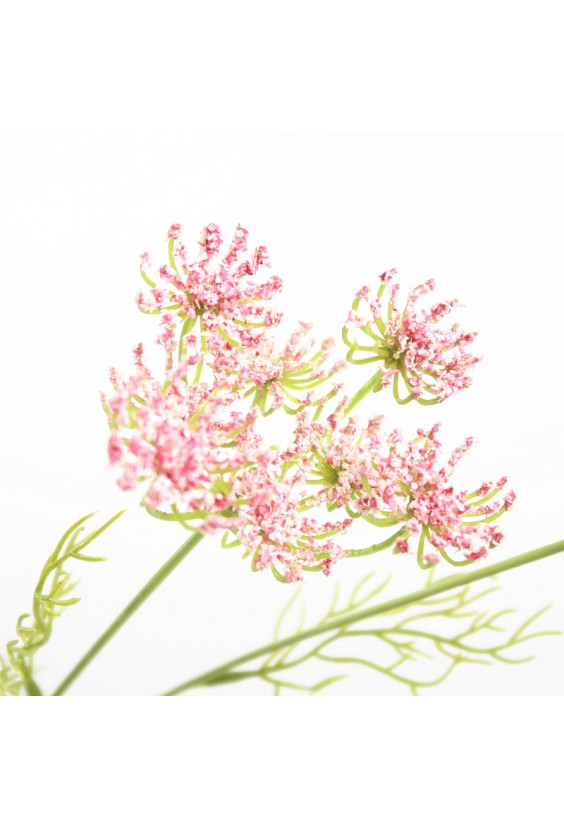 Simulated Five-Head Lace Decorative Flower