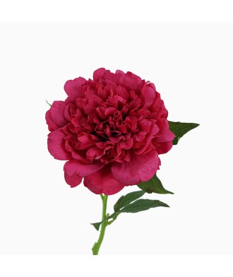 14cm Real Touch Felt Peony Artificial Flower