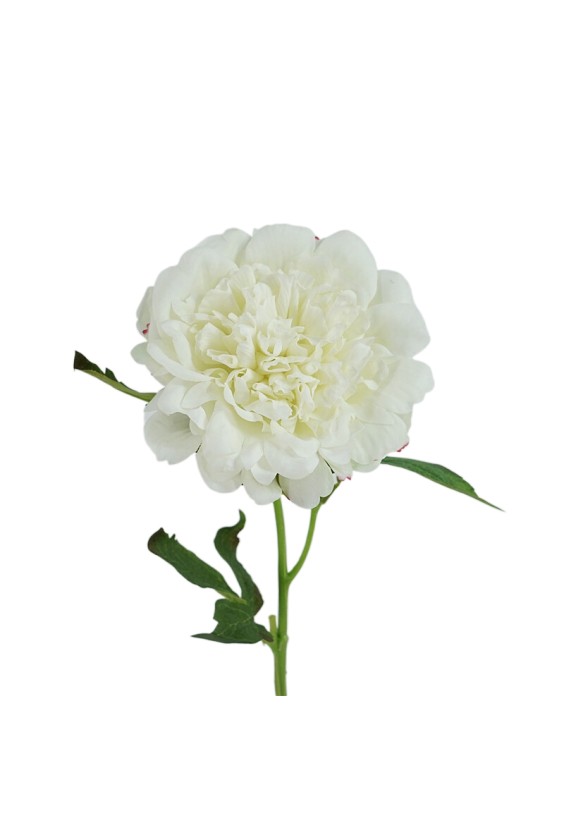 14cm Real Touch Felt Peony Artificial Flower