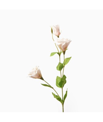 High-Quality Real Touch Simulation Prairie Gentian Flower