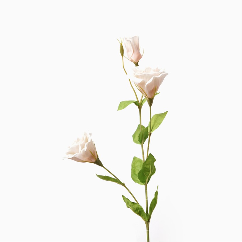 High-Quality Real Touch Simulation Prairie Gentian Flower