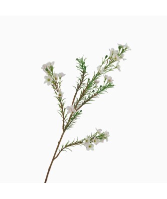 Simulated Wax Plum Flower Branch Home Decorative Flower