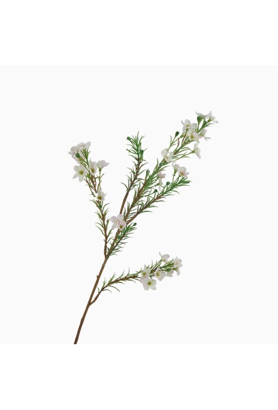 Simulated Wax Plum Flower Branch Home Decorative Flower