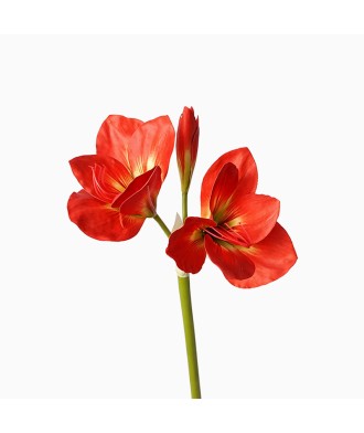 Small Size Silicone Clivia Artificial Flower