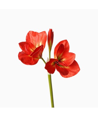 Small Size Silicone Clivia Artificial Flower