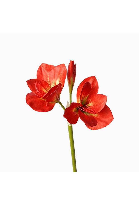 Small Size Silicone Clivia Artificial Flower