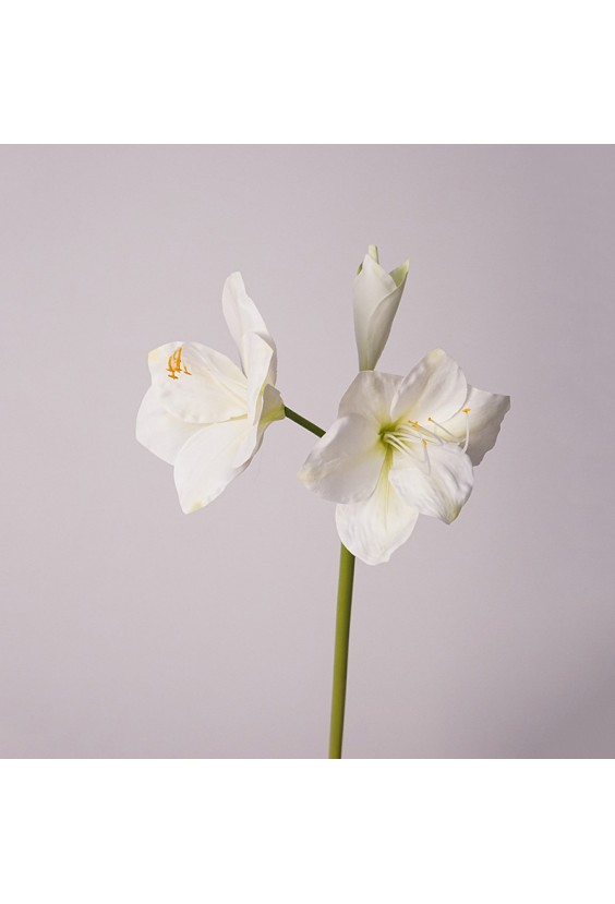 Small Size Silicone Clivia Artificial Flower
