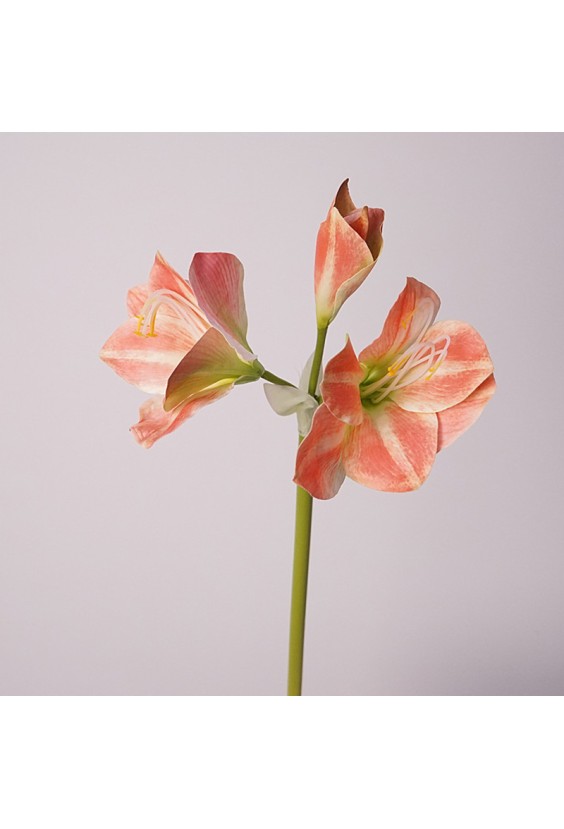 Small Size Silicone Clivia Artificial Flower