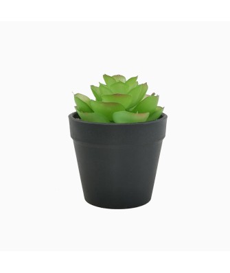 Simulation Mini Succulent Plant Pot Set