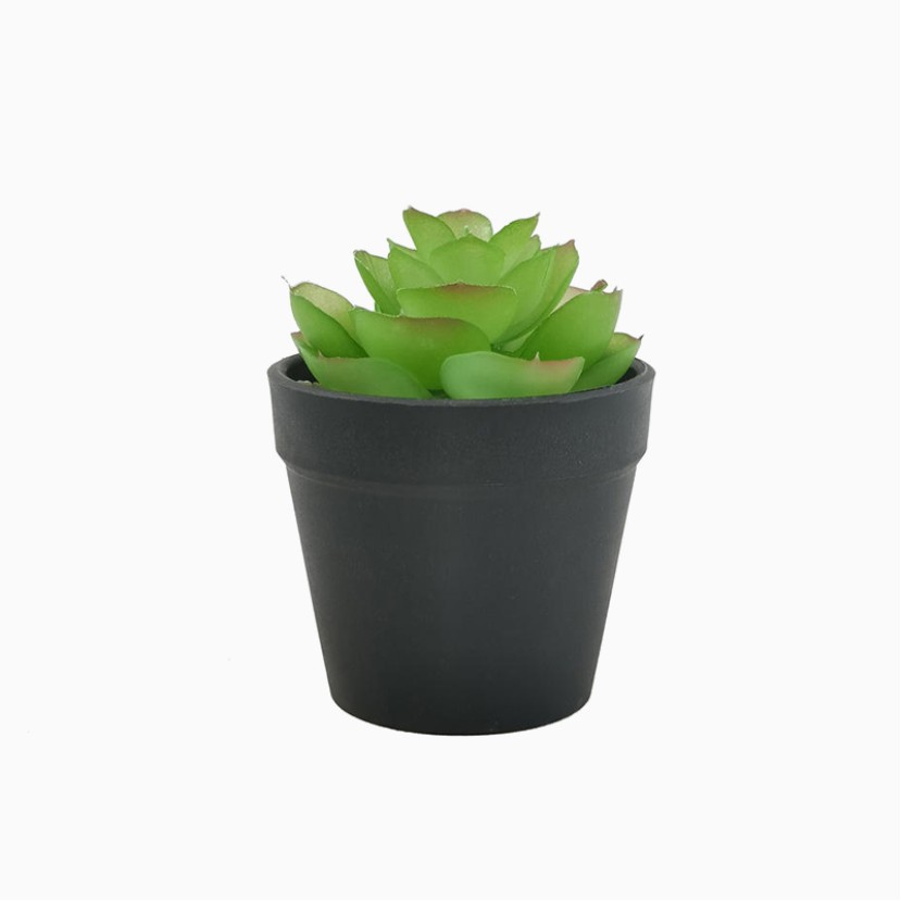 Simulation Mini Succulent Plant Pot Set