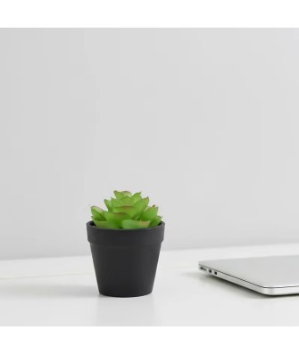 Simulation Mini Succulent Plant Pot Set