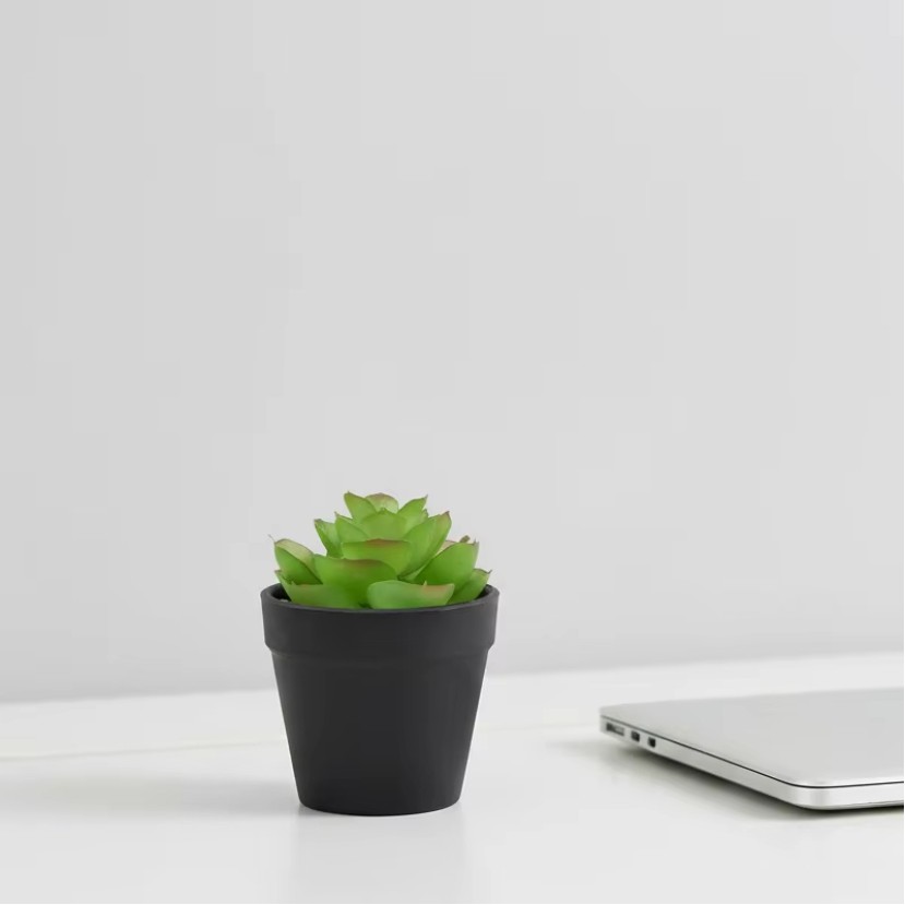 Simulation Mini Succulent Plant Pot Set
