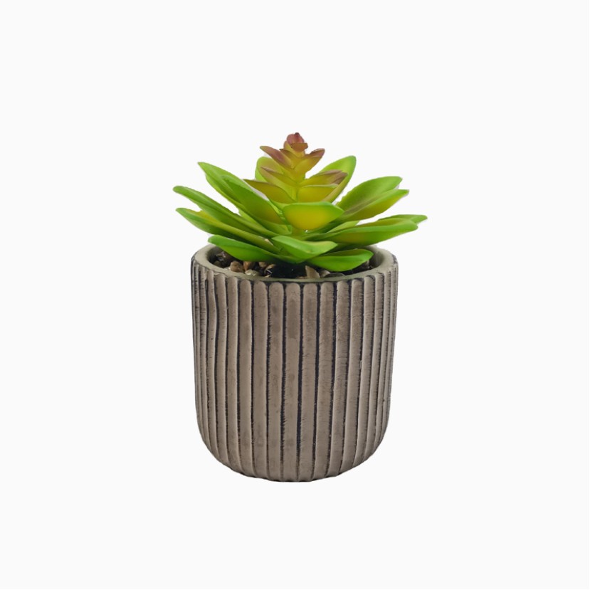 Miniature Landscape Simulation Resin Succulents