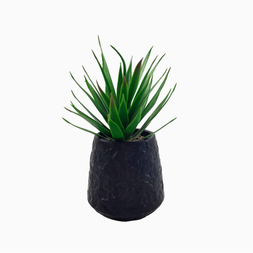 Small Potted Artificial Succulent Wall Decor