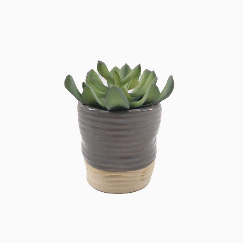 Minimalist Faux Succulent Pot