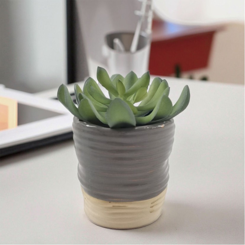 Minimalist Faux Succulent Pot