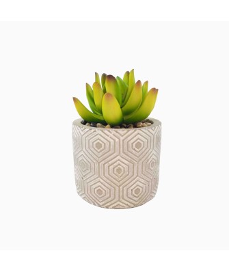 Simulated Succulent Potted Green Plant