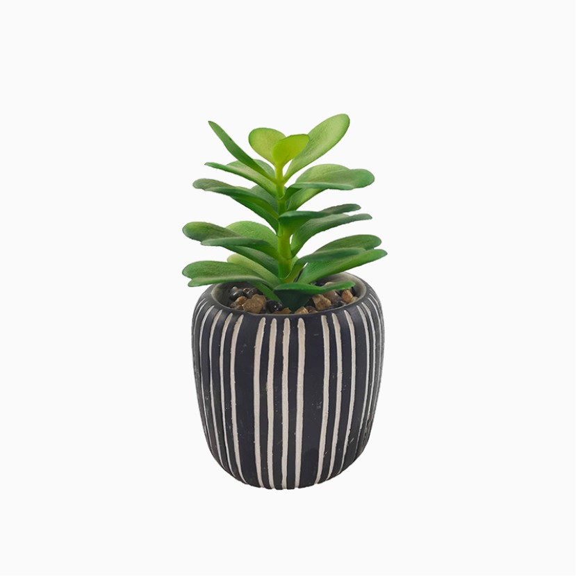 Highly Realistic Faux Potted Succulents
