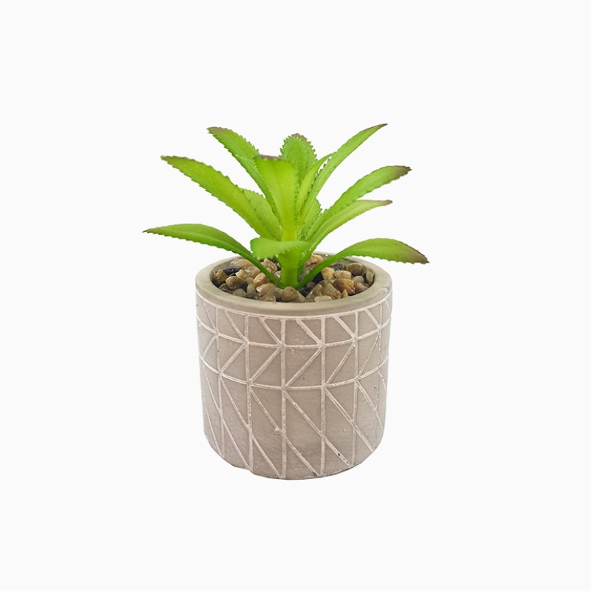 High Simulation Succulent Plant Cement Pot