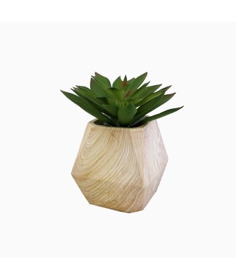 Simulated Succulent Wooden Potted Decoration