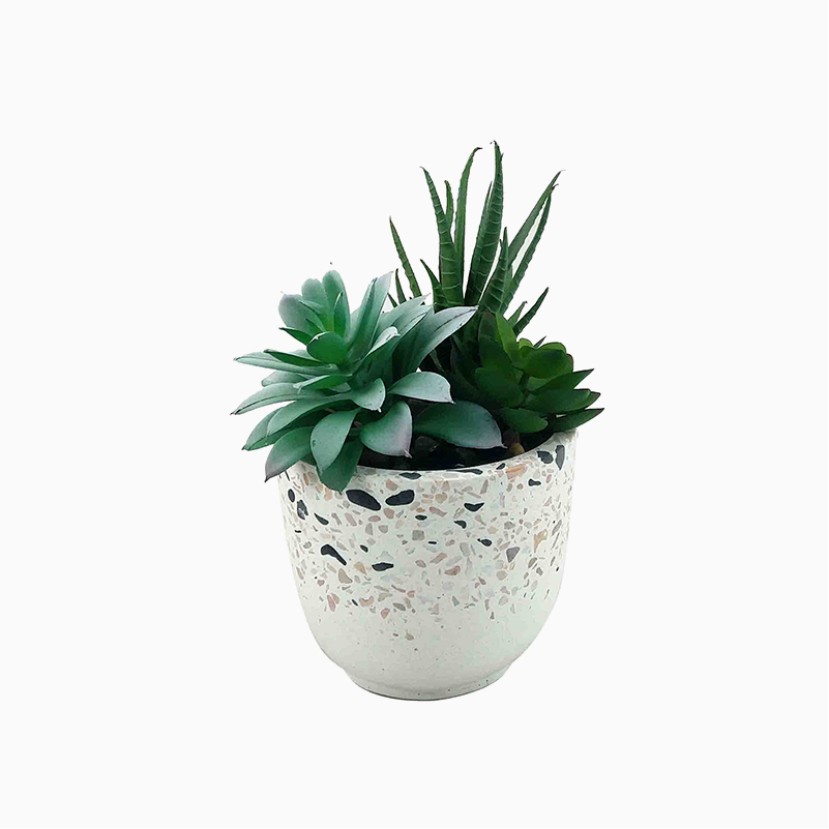 Simulated Succulent Orchid Ceramic Pot