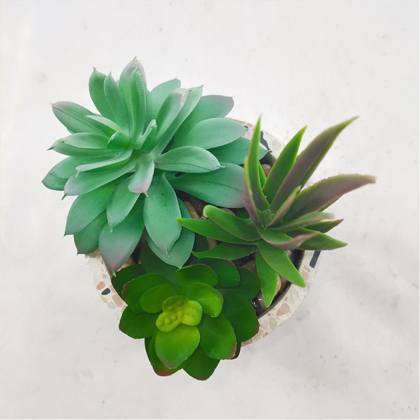 Simulated Succulent Orchid Ceramic Pot