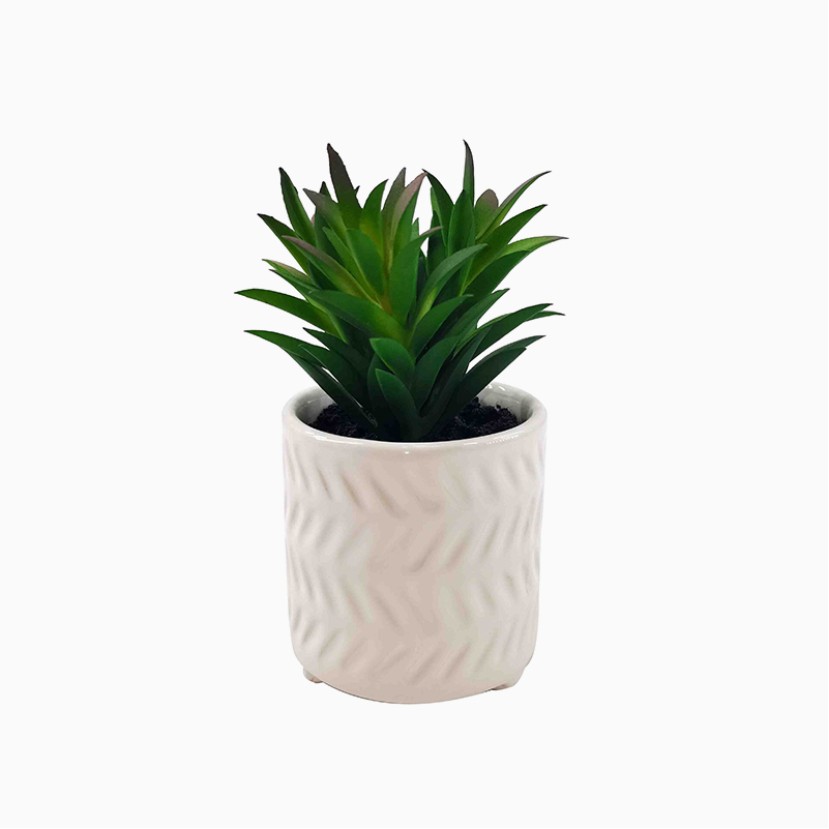 High Simulation Mini Succulent Pot