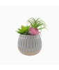 Artificial Succulent Potted Plant