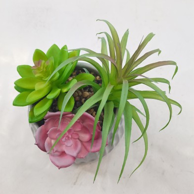 Artificial Succulent Potted Plant