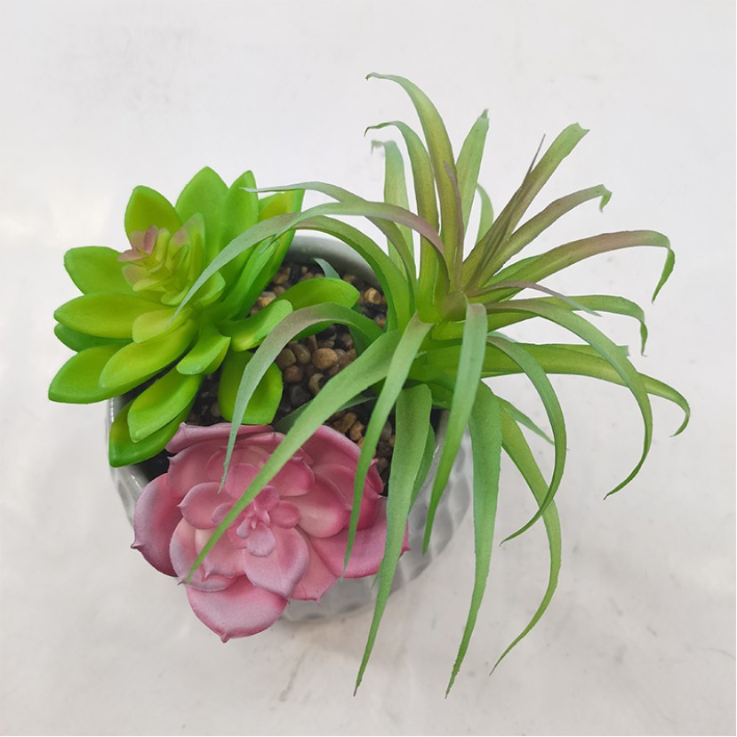 Artificial Succulent Potted Plant