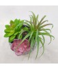 Artificial Succulent Potted Plant
