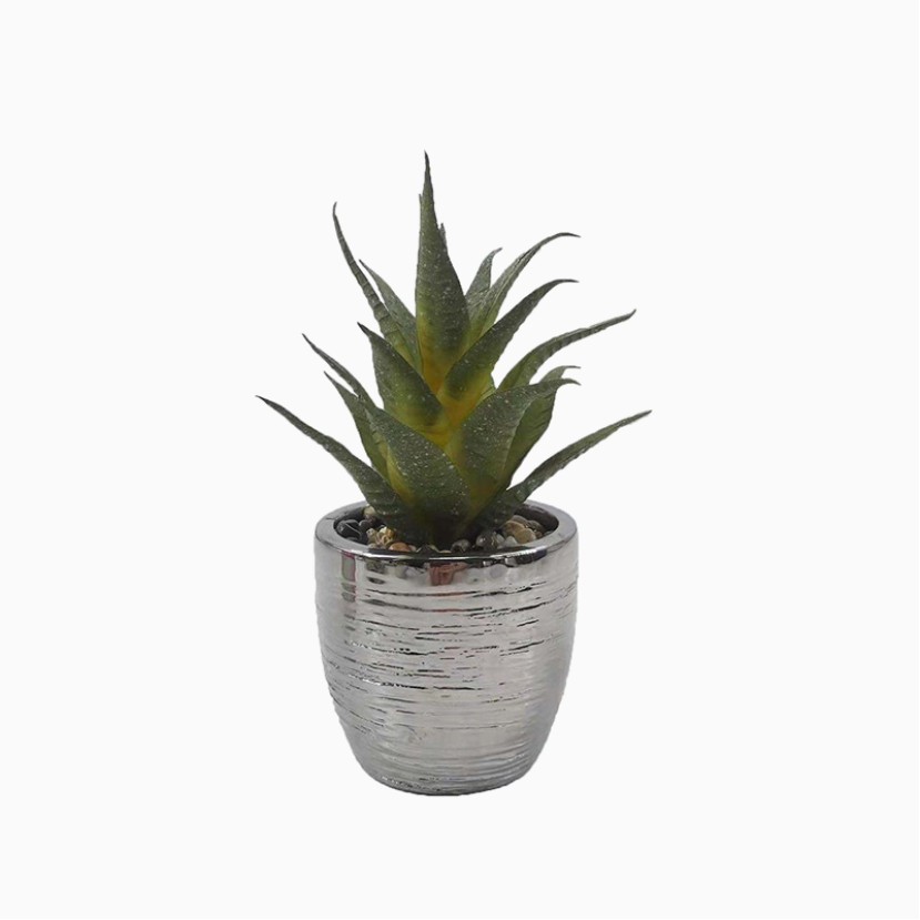 Realistic-Touch Faux Potted Succulent