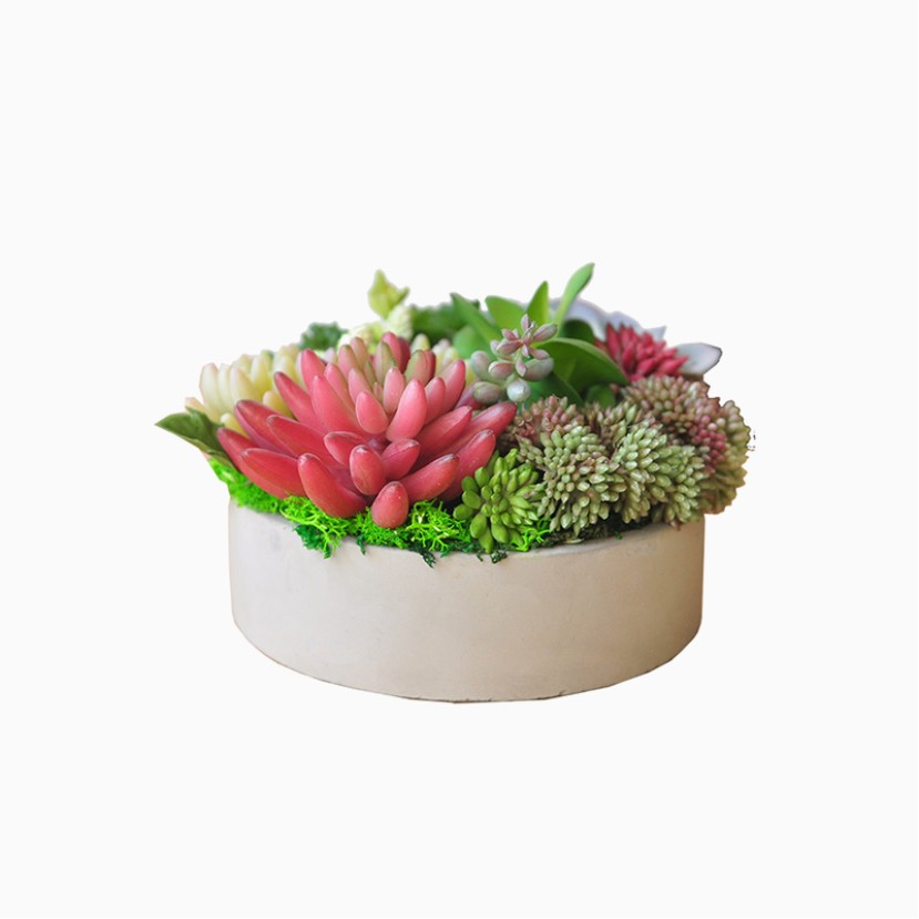 Simulation Succulent Plant Pot Desktop Decoration