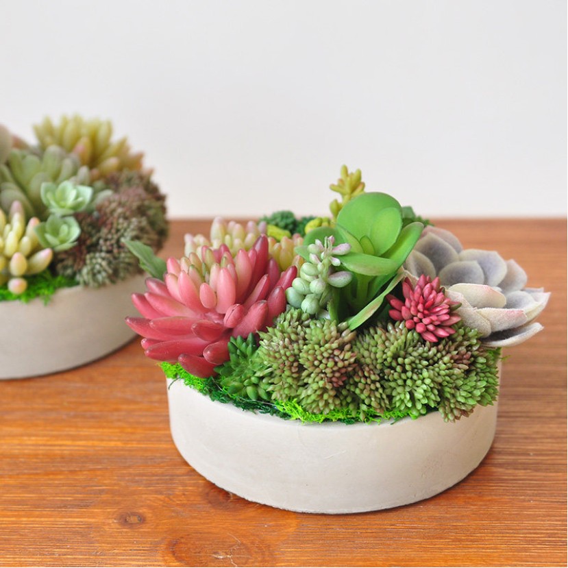 Simulation Succulent Plant Pot Desktop Decoration