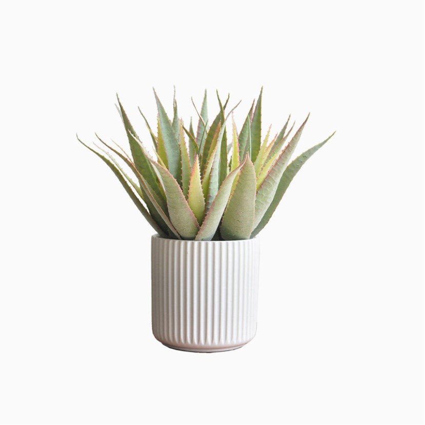 Flocked Aloe Artificial Succulent Potted Plant
