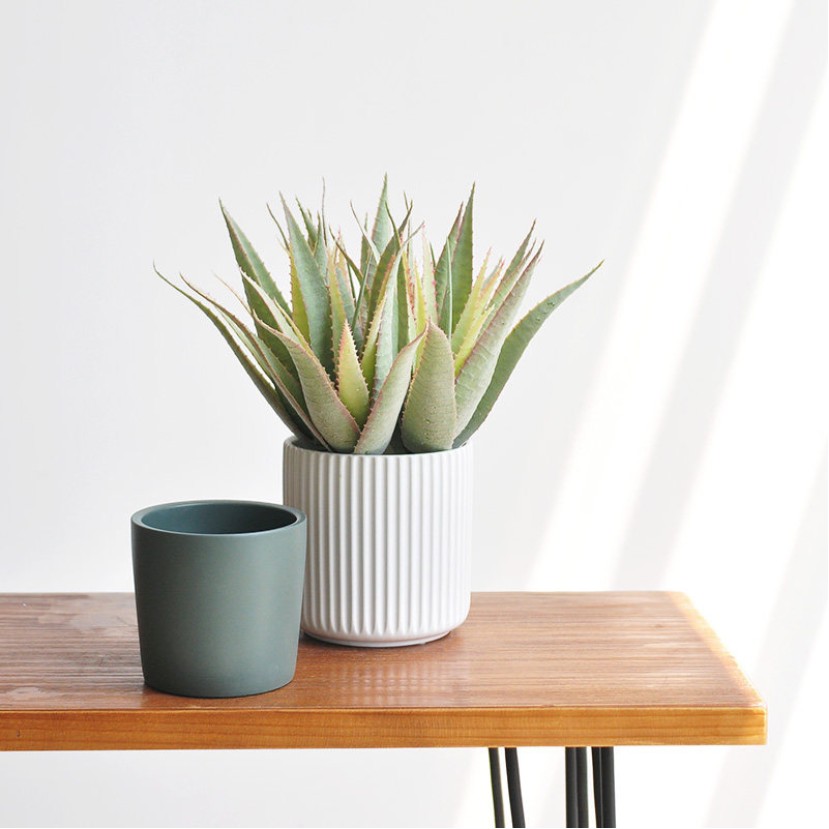 Flocked Aloe Artificial Succulent Potted Plant