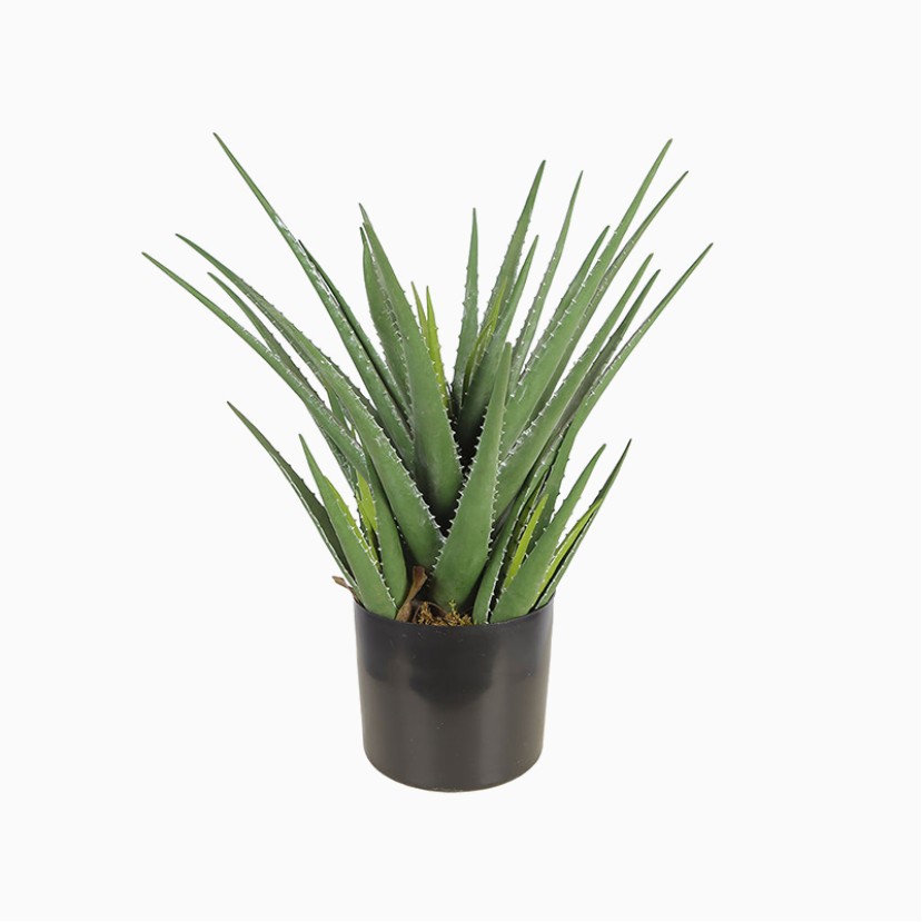 Simulated Aloe Vera Potted Plant Desktop Decorative Greenery